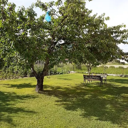 Chrysafis Aparthotel Vrasná